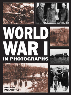World War I in Photographs - ebook